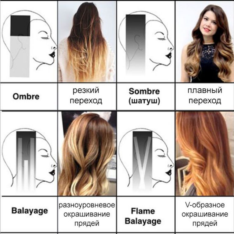 Разнообразие