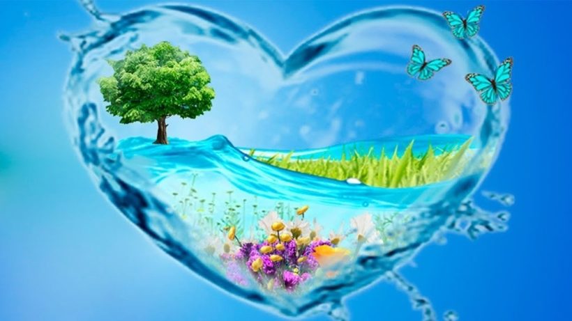 Вода для растений очень важна