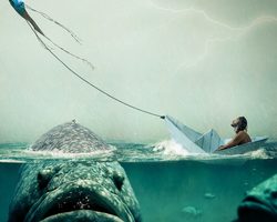 Какова роль воды на нашей планете, в жизни планеты: для растений, животных, человека