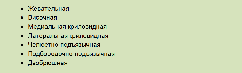 Название групп мышц внчс