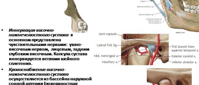 Движение кровотока в нижне-челюстном узле