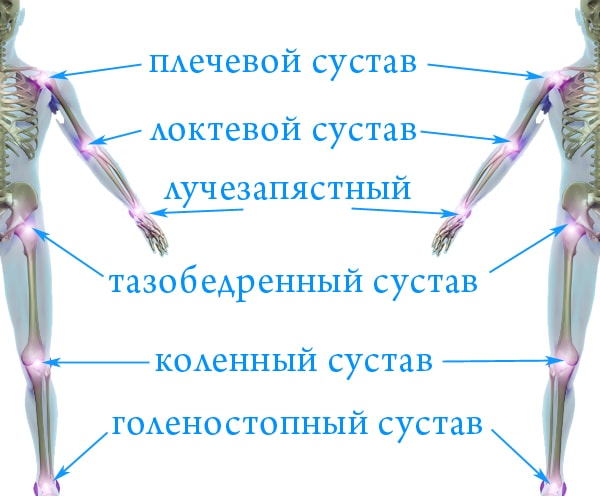 Суставы человека