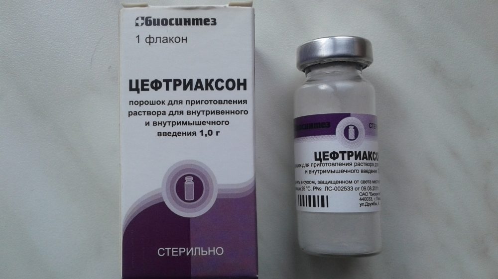 Антибиотики