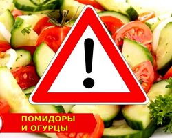 Помидоры и огурцы можно или нельзя есть вместе? Какие продукты помогают усваиваться помидорам, огурцам?