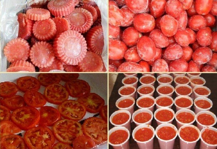 Разнообразие