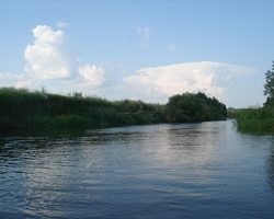 Сонник – видеть во сне реку: значение сна. К чему снится ходить, нырять, плыть, купаться, тонуть в реке, мужчине, женщине: толкование сна