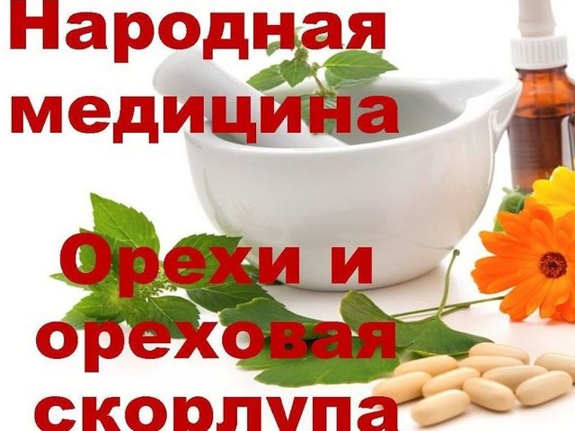 Орехи при артрозе коленных суставов. Симптоматика артроза, польза орехов при артрозе, рецепты приготовления настоев на орехах. Орехи при артрозе коленных суставов — вред