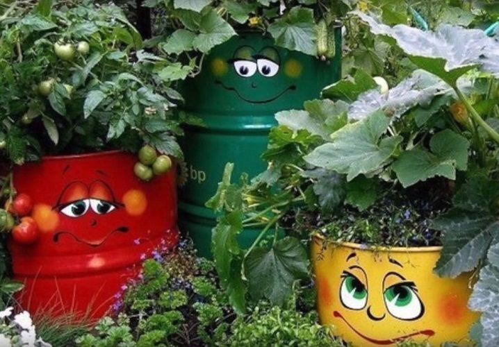 Вот так можно украсить свои грядки