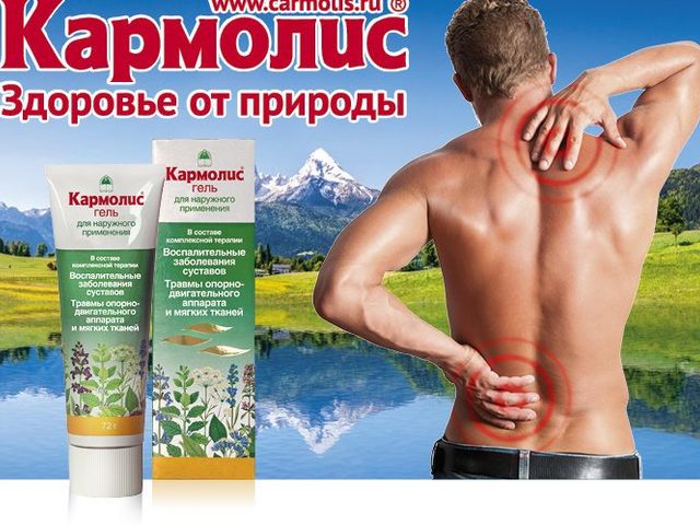 Кармолис — гель для суставов: состав, действие препарата, показания к применению, особые характеристики, противопоказания, отзывы пользователей