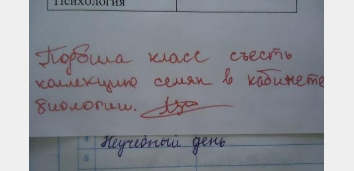 Самые смешные и нелепые записи учителей