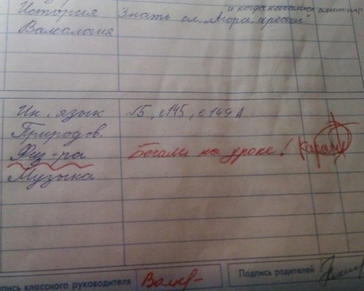 Самые смешные и нелепые записи учителей