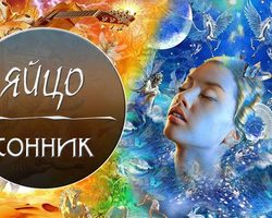 Снится яйцо: что значит этот сон по соннику Ванги, Нострадамуса, по предсказаниям Цветкова, Миллера?
