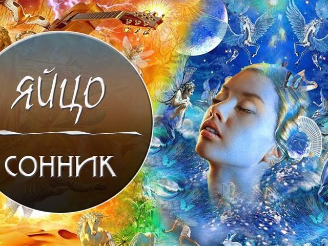 Снится яйцо: что значит этот сон по соннику Ванги, Нострадамуса, по предсказаниям Цветкова, Миллера?
