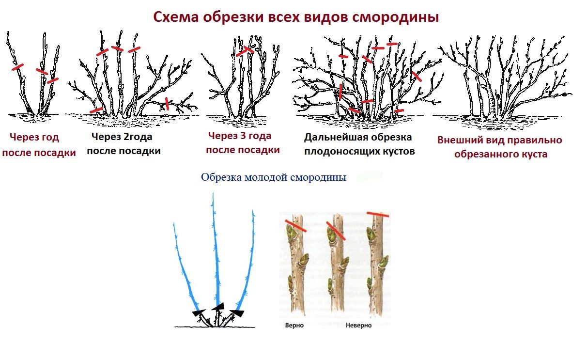 По возрасту