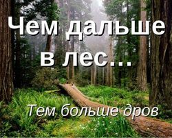 «Чем дальше в лес, тем больше дров»: происхождение, значение пословицы
