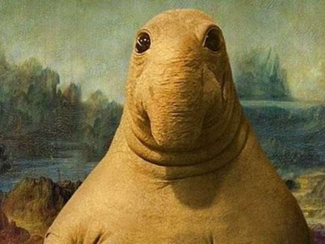 Как нарисовать Ждуна: для начинающих, мультяшного, простым карандашом, масляными красками. Простой способ нарисовать Ждуна
