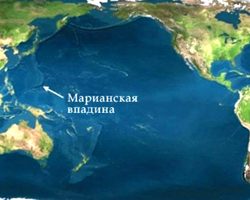 Самая глубокая точка мирового океана – Марианская впадина. История открытия Марианской впадины, погружения на дно. Живет ли кто-нибудь на дне Марианской впадины?