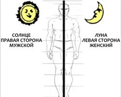 Левая и правая сторона тела: эзотерика и энергетические потоки