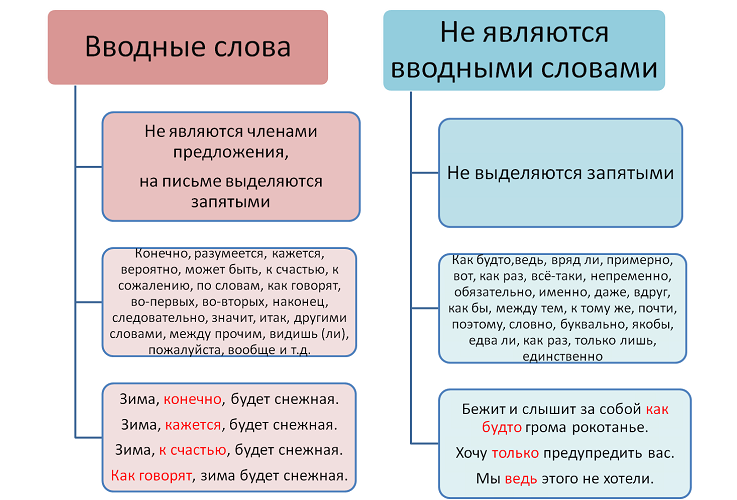 Подсказка - вводные слова легко убрать из предложения