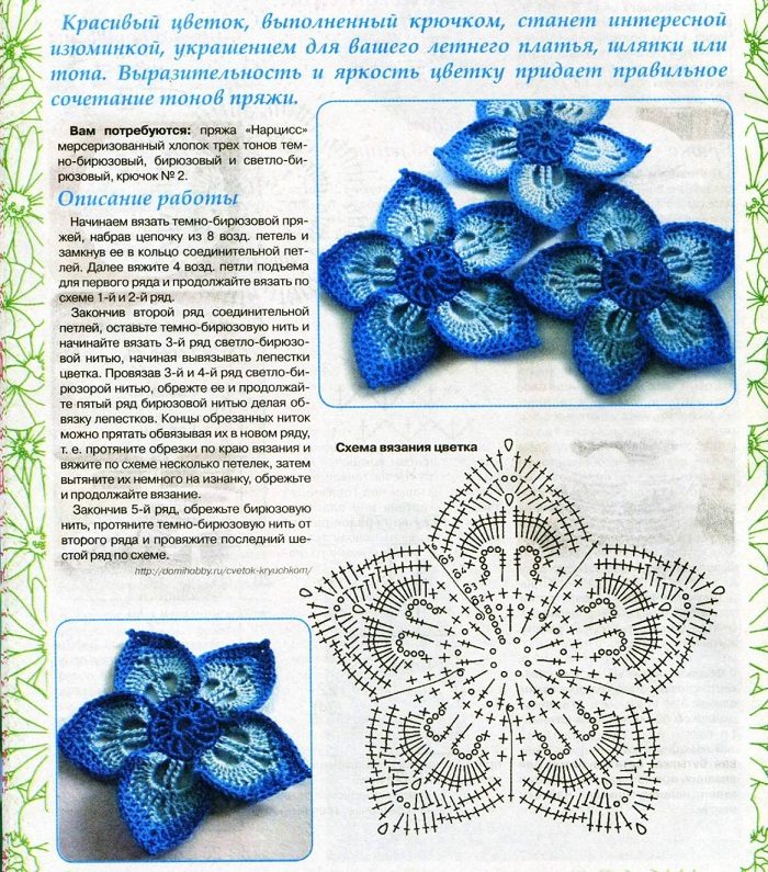 Цветок с заостренными лепестками