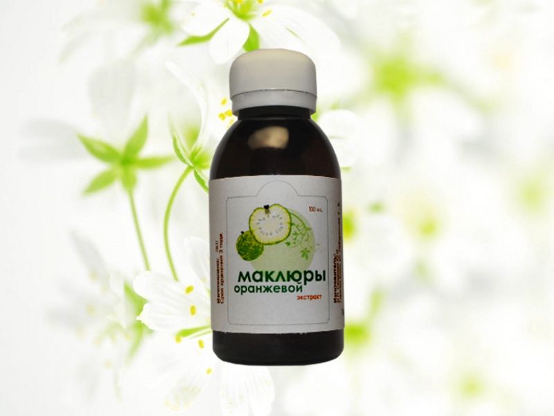 Адамовое яблоко - маклюра для суставов