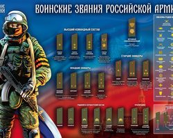 Воинские звания: размещение звезд на погонах. 1, 2, 3, 4, 5 звездочек на погонах, 2 большие звезды: какое воинское звание, как выглядят погоны, сколько звезд на погонах у лейтенанта, майора?