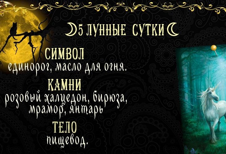 Небольшая характеристика дня