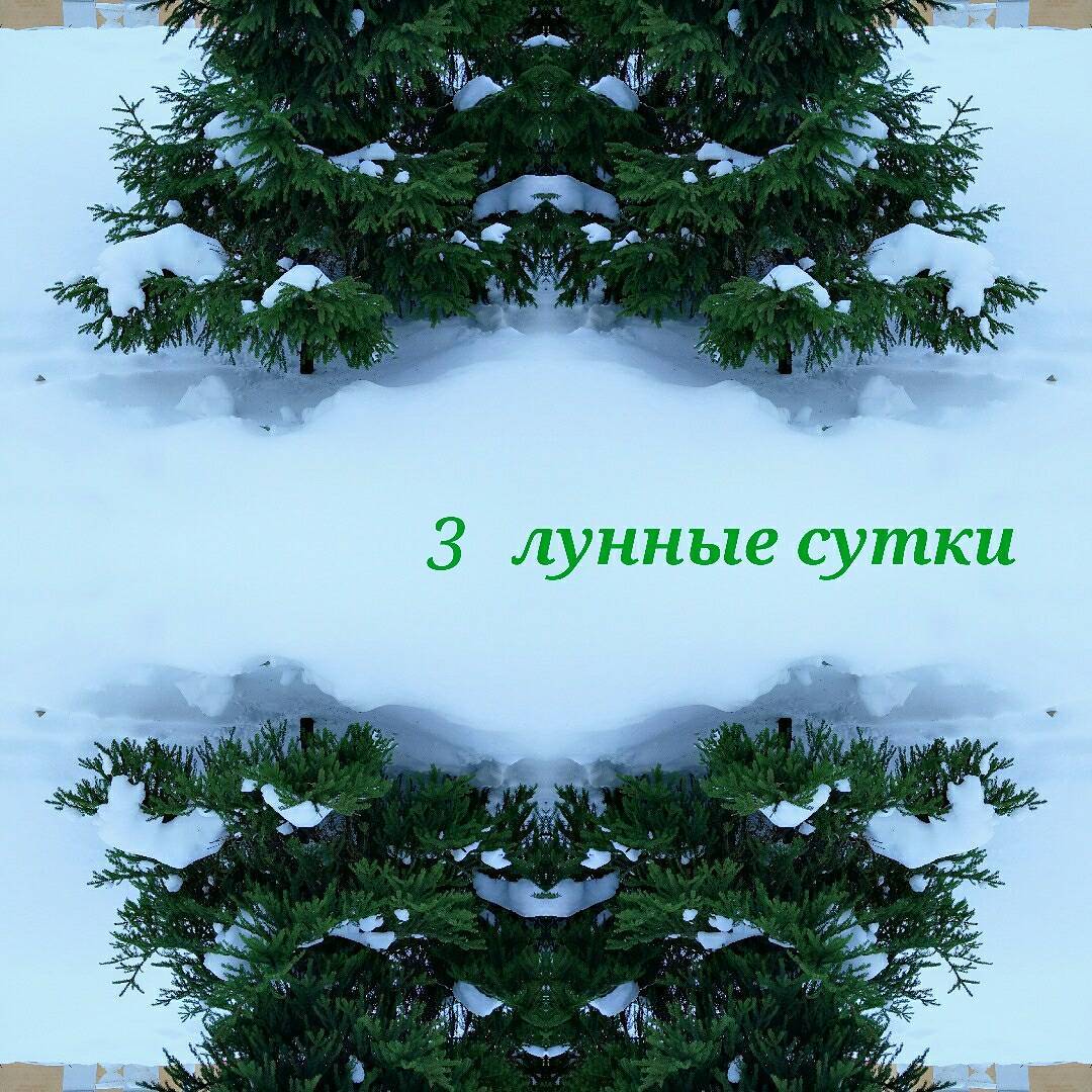 Хороши прогулки на природе