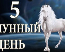 5 лунные сутки: полная характеристика — что можно и что нельзя делать?