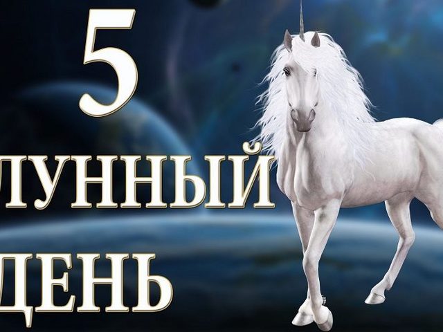 5 лунные сутки: полная характеристика — что можно и что нельзя делать?