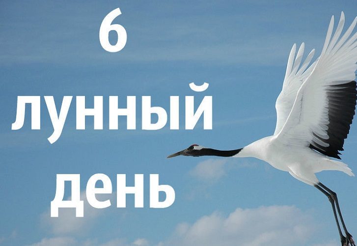 Берегите в этот день горло!