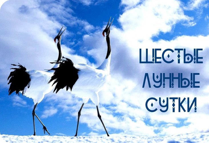 Символом выступает журавль