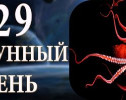 29 лунные сутки: полная характеристика, работа, здоровье, дети, красота, брак, сновидения, ритуалы — что можно и что нельзя делать?