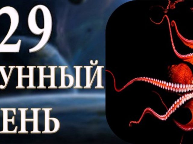 29 лунные сутки: полная характеристика, работа, здоровье, дети, красота, брак, сновидения, ритуалы — что можно и что нельзя делать?