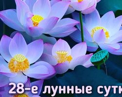 28 лунные сутки: полная характеристика, стрижка, красота, свадьба, именинники, толкования снов, здоровье — что можно и что нельзя делать?