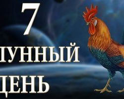 7 лунные сутки: полная характеристика — что можно и что нельзя делать?