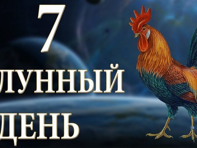 7 лунные сутки: полная характеристика — что можно и что нельзя делать?