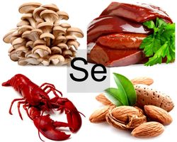 Селен: в каких продуктах содержится, чем полезен, какая суточная норма, чем грозит недостаток и избыток, по каким причинам не хватает?