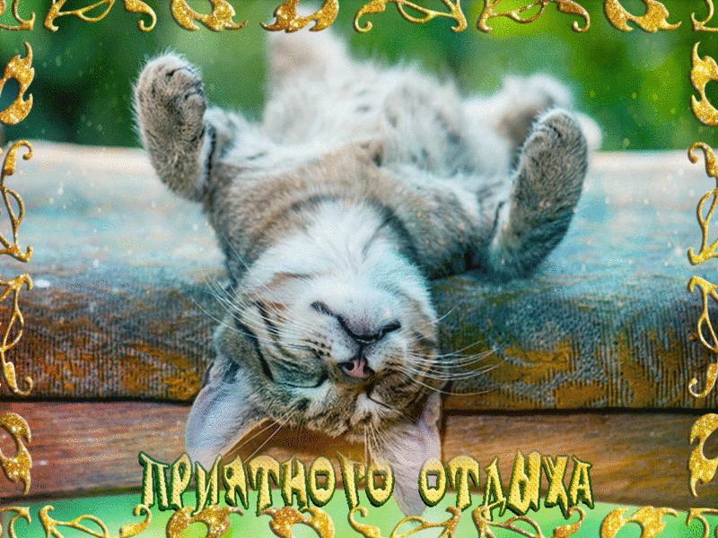 Долгожданный отдых