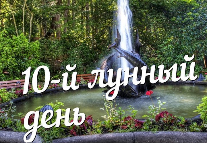 Этот день для активных действий и завершений