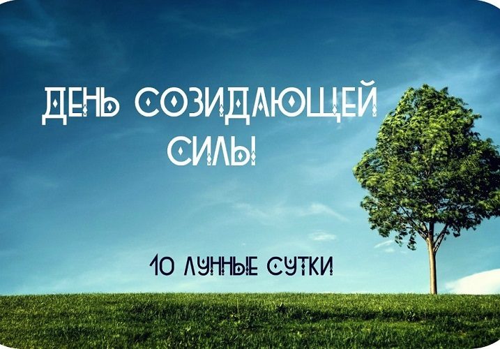 Один из самых удачных дней