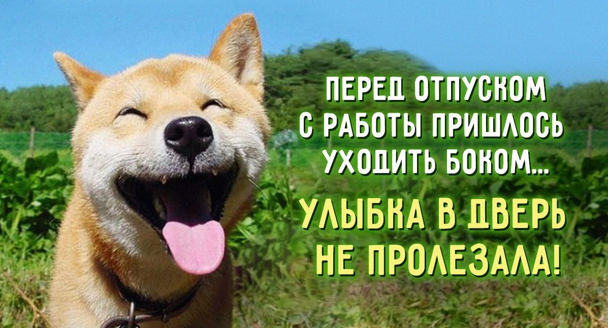 Веселые поздравления