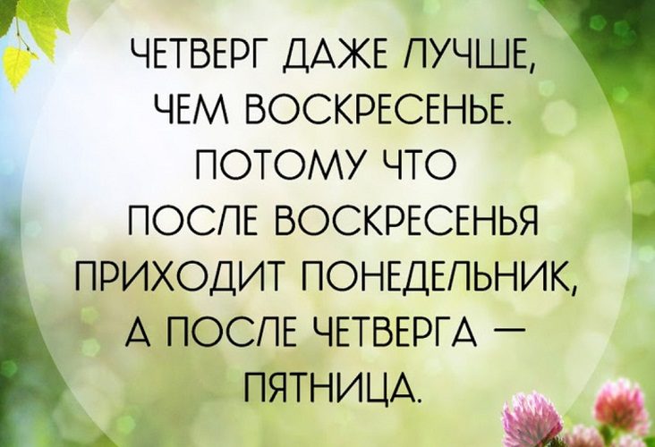 А еще он приносит доходы