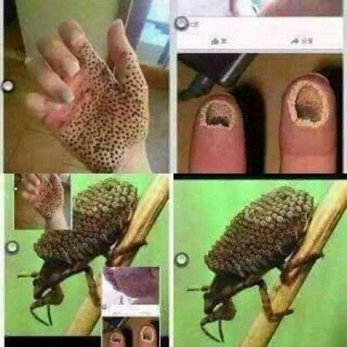 Пост в соцсетях