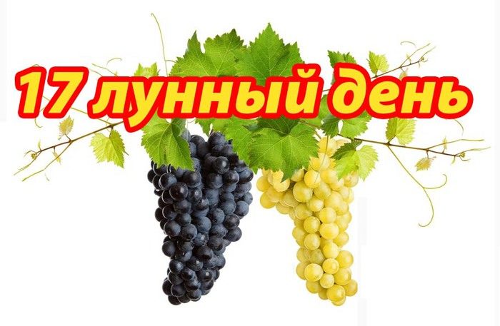 Символ