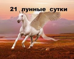 21 лунные сутки: полная характеристика — что можно и что нельзя делать?