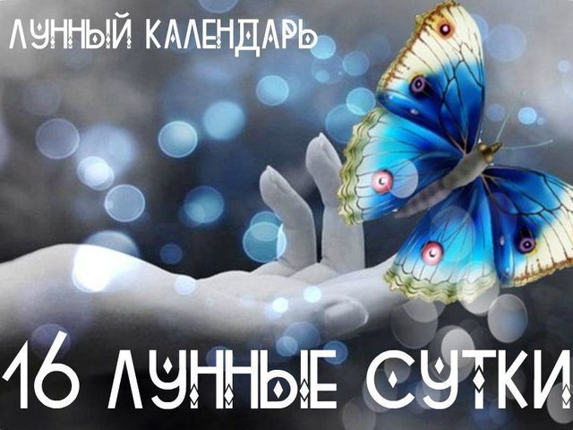 16 лунные сутки: символы, полная характеристика — прическа, красота, брак, рождение, сны, дела и финансы, здоровье — что можно и что нельзя делать?
