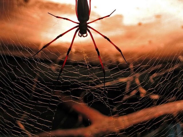 19 лунные сутки: полная характеристика — что можно и что нельзя делать? 19 лунные сутки: здоровье, питание, красота, бизнес, свадьба, сны, секс
