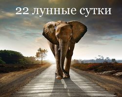 22 лунные сутки: полная характеристика — что можно и что нельзя делать?