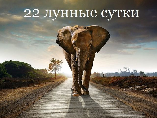 22 лунные сутки: полная характеристика — что можно и что нельзя делать?